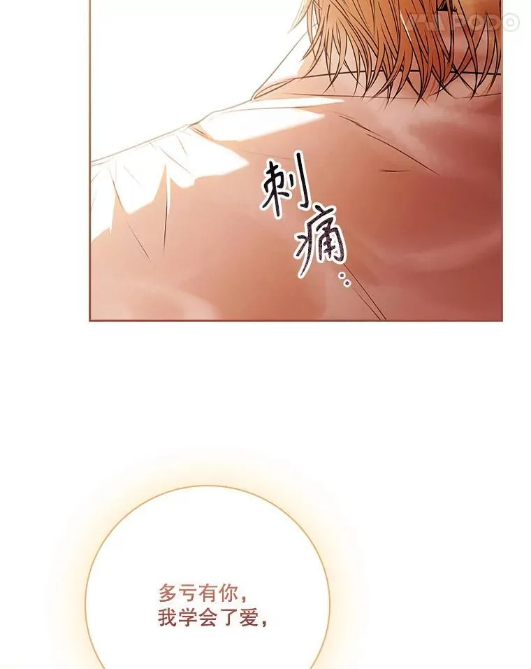 106.消失不见66