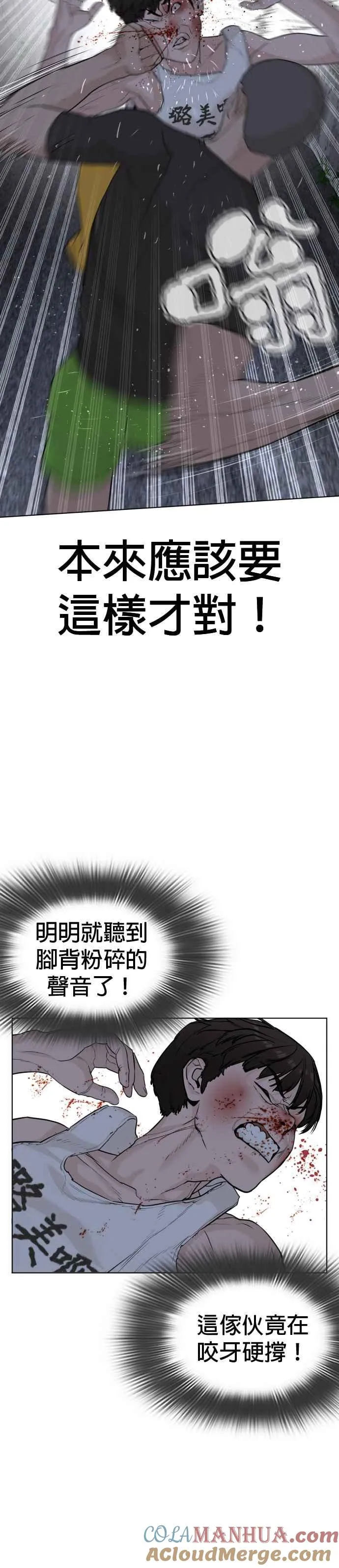 第44话 …成功了吗？12