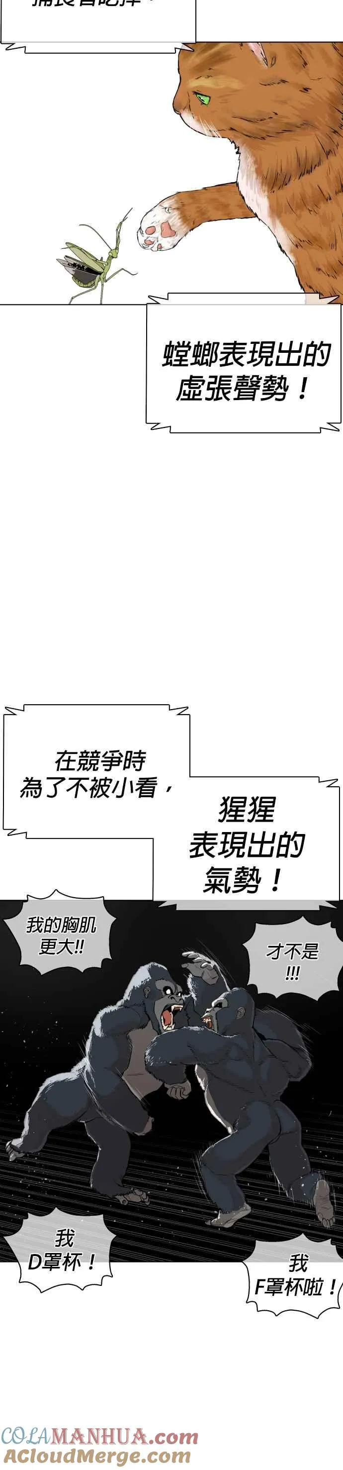 第23话 恐惧的法则6