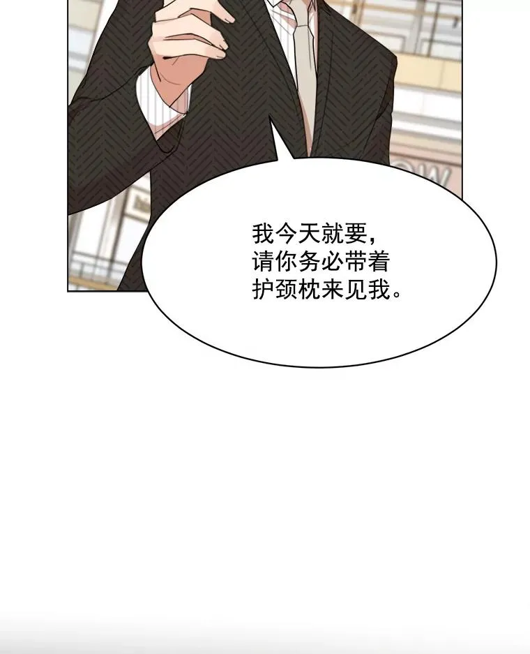 21.没有给我颈枕26