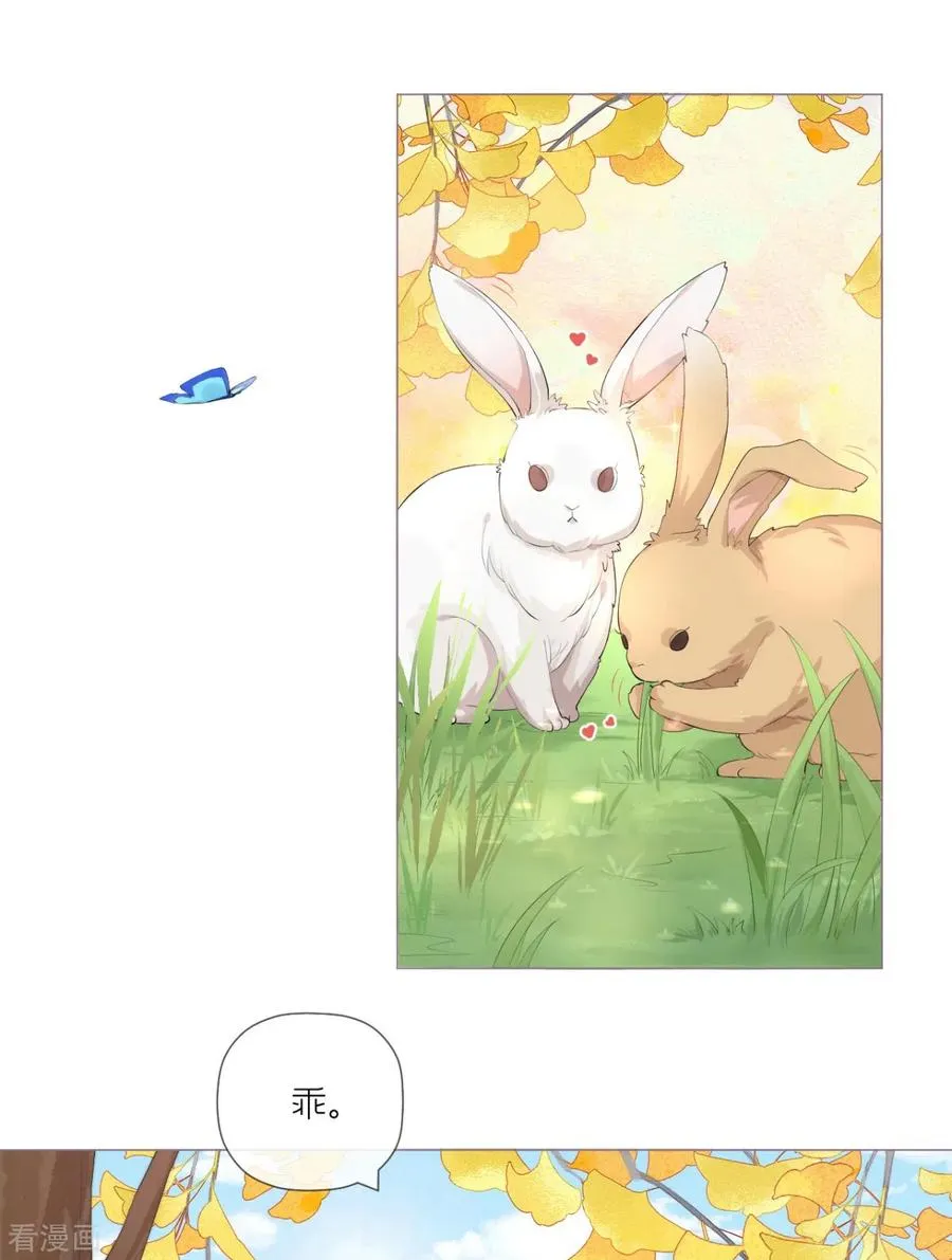 第35话 含情脉脉大特训4