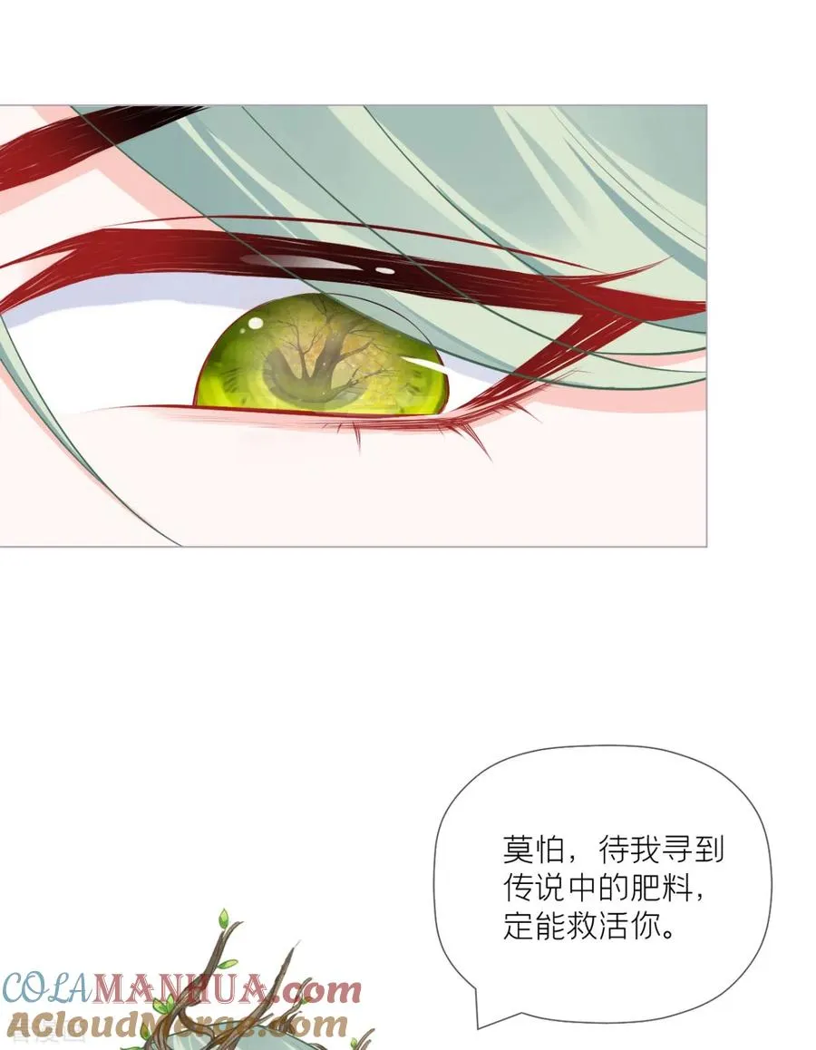 第35话 含情脉脉大特训33