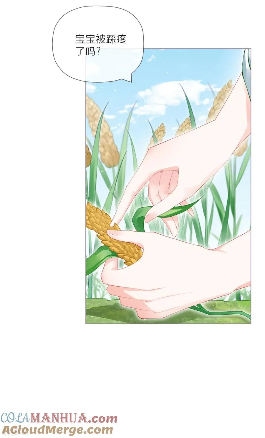 第33话 喜得未婚夫30