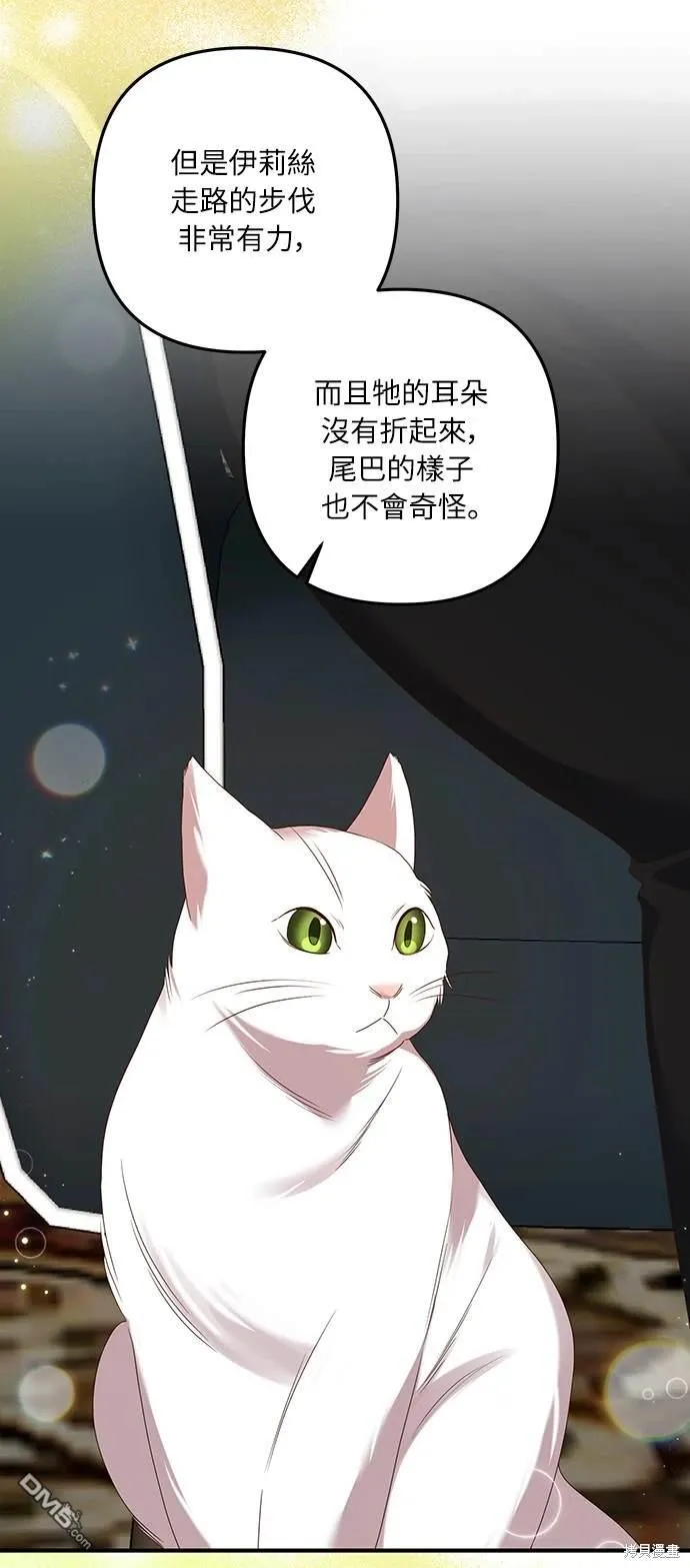 第55话36
