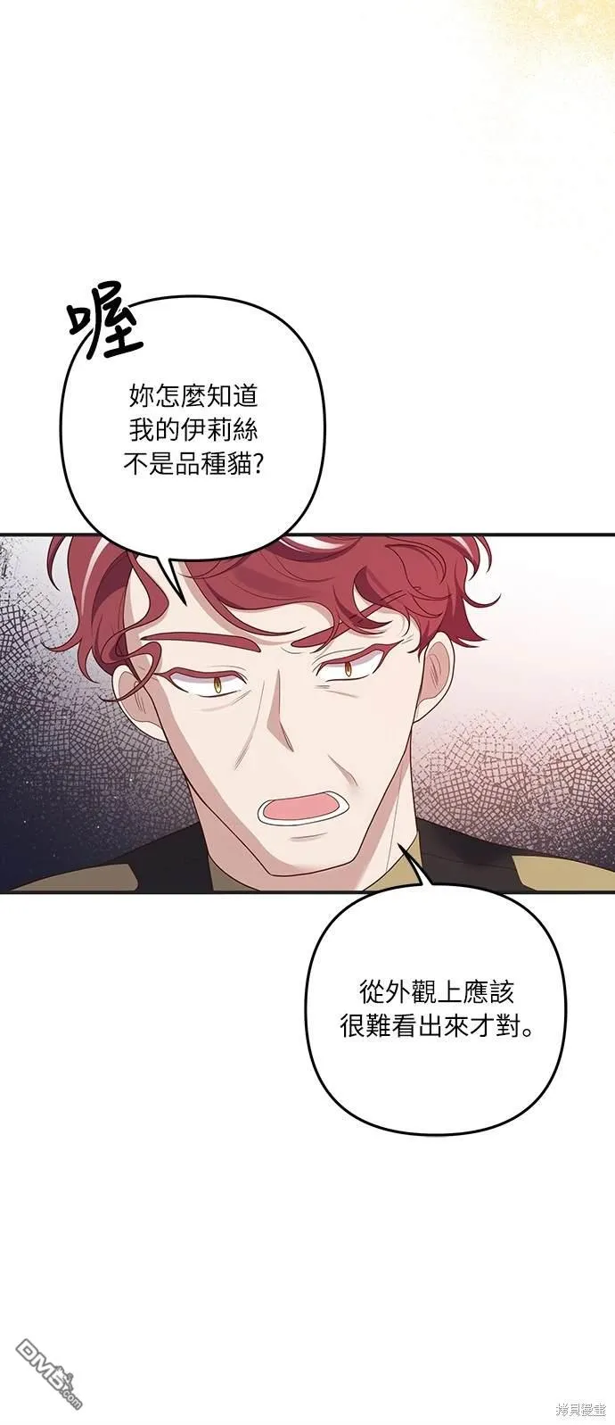 第55话34