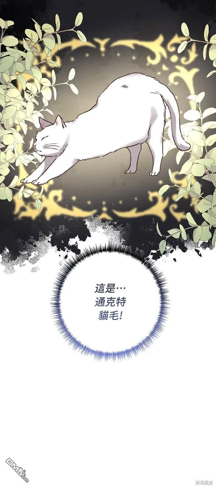 第54话49
