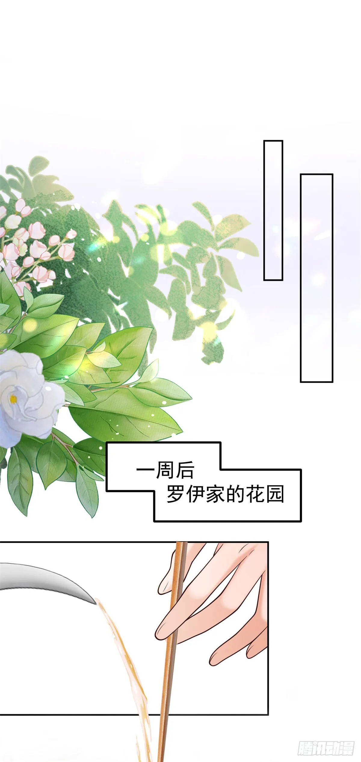 第17话 开始售卖咖啡豆1