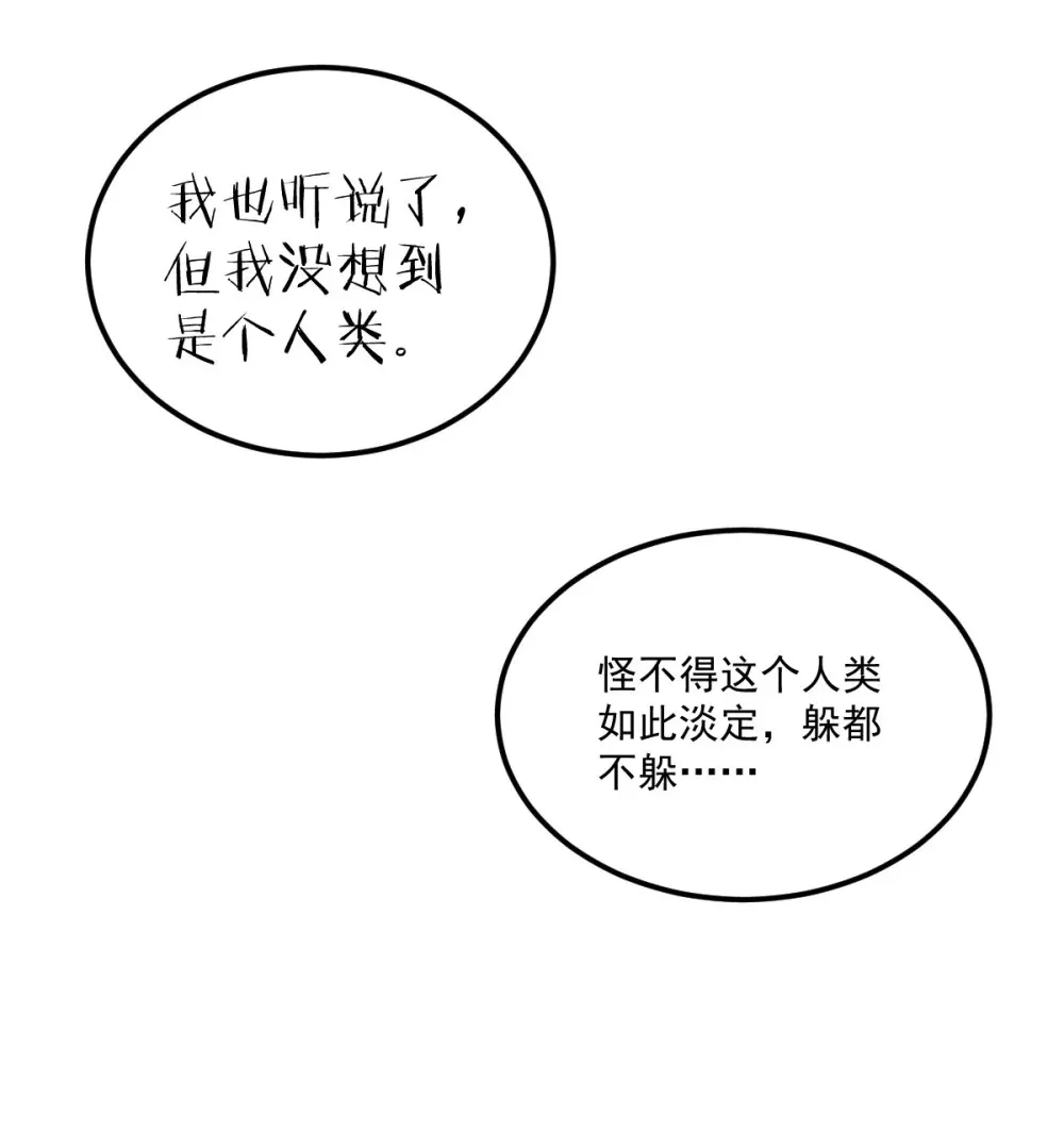 001 锁定！黑丝兽娘43
