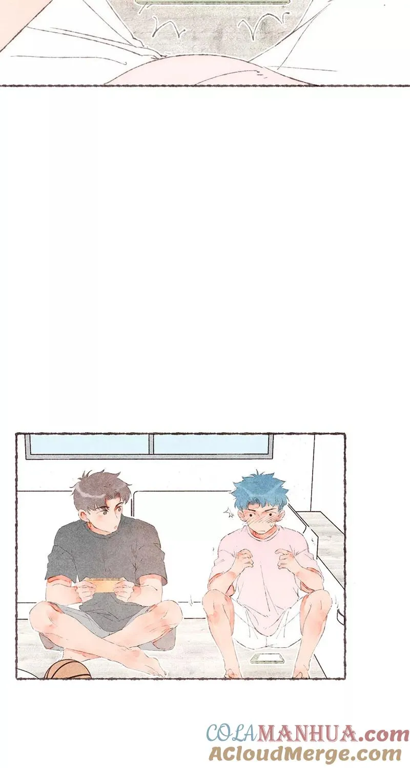 特别篇224