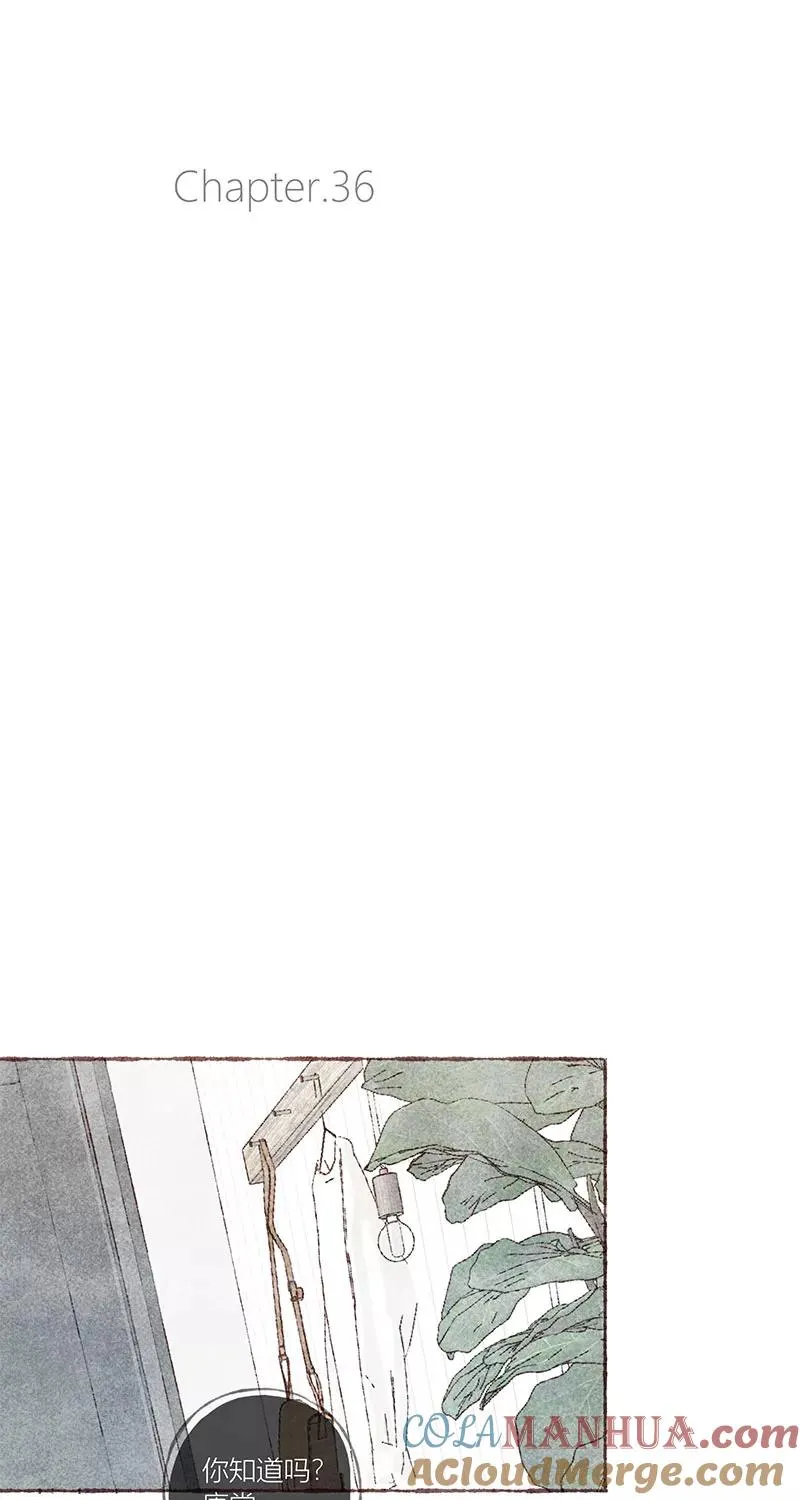 第36话15