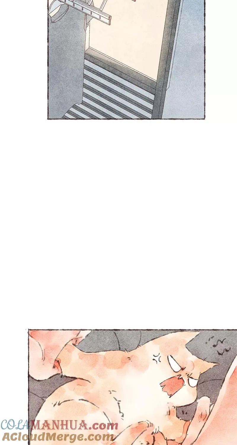第37话39