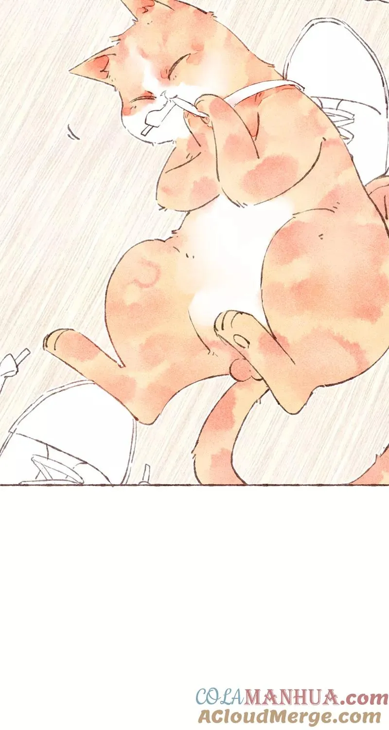 第31话36
