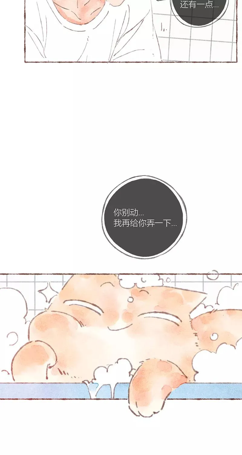 第38话41
