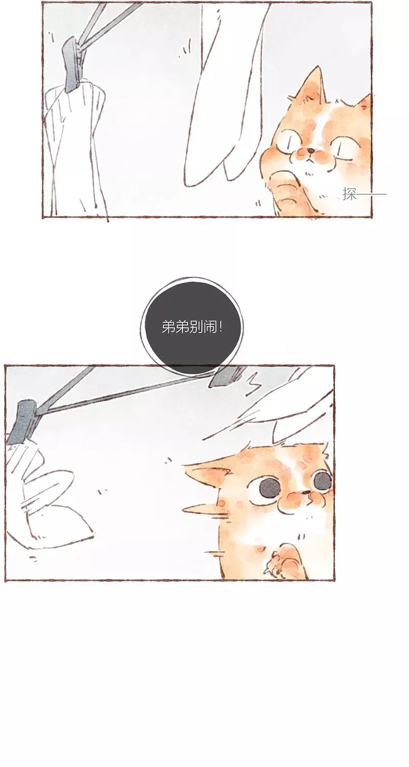 第33话17