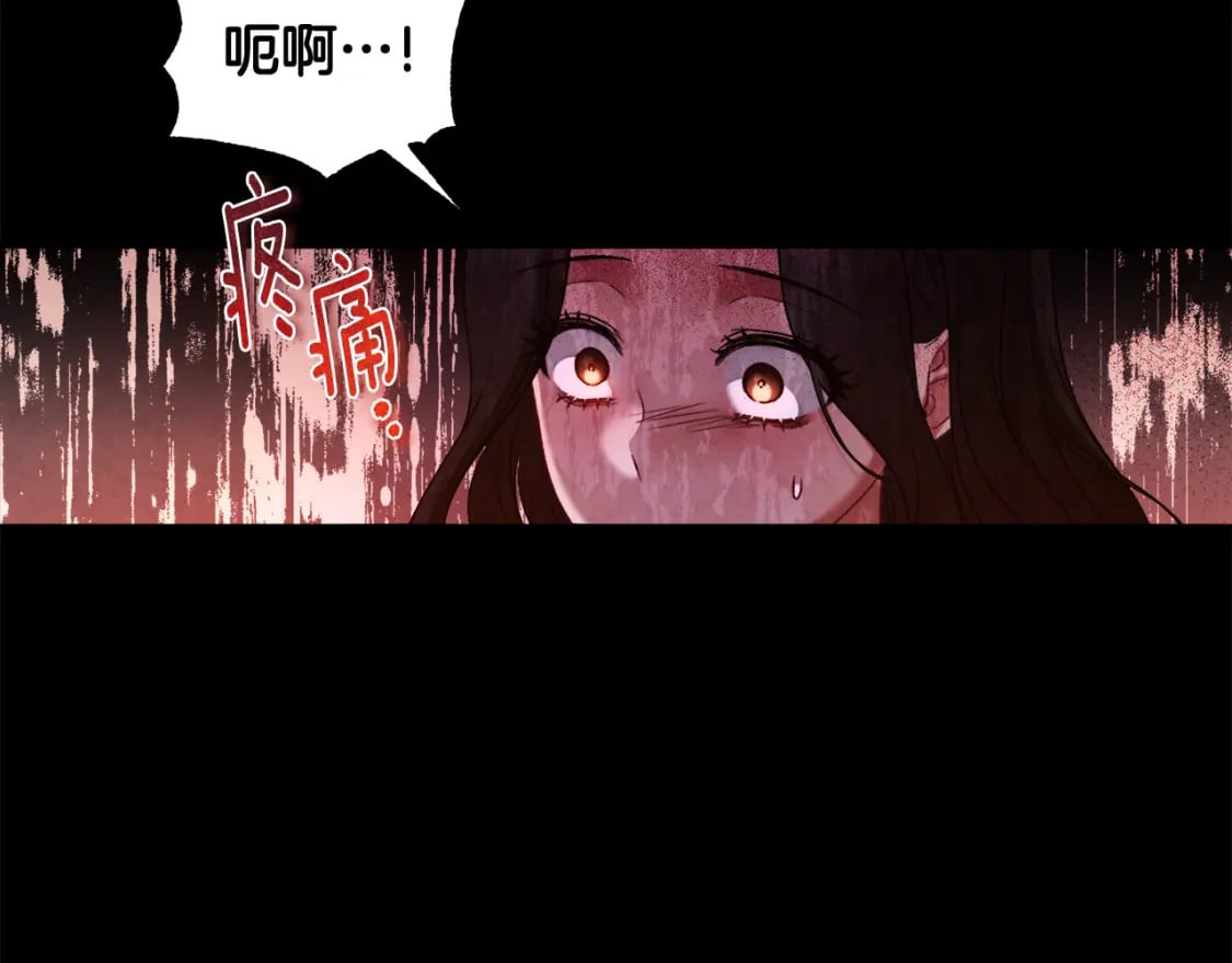 完结篇 你是我的主人28