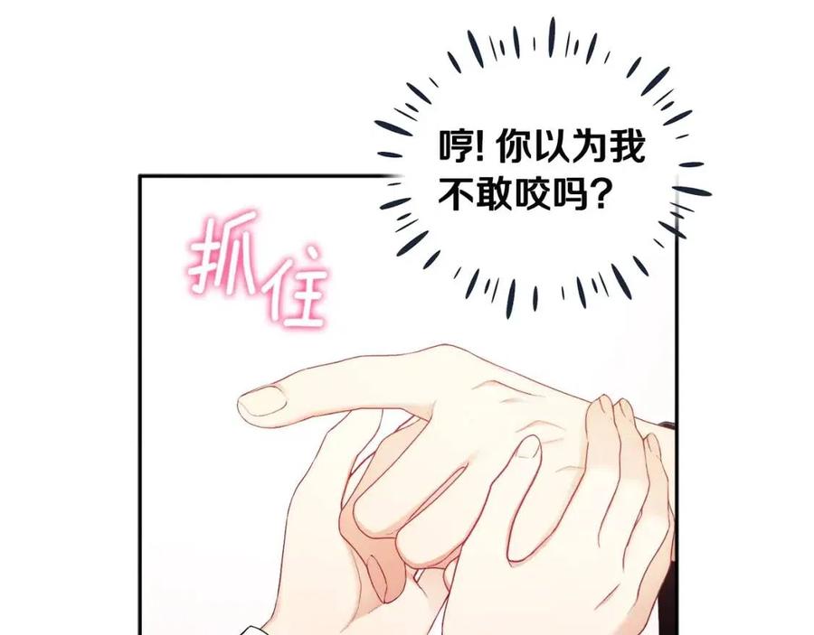第68话 计划123