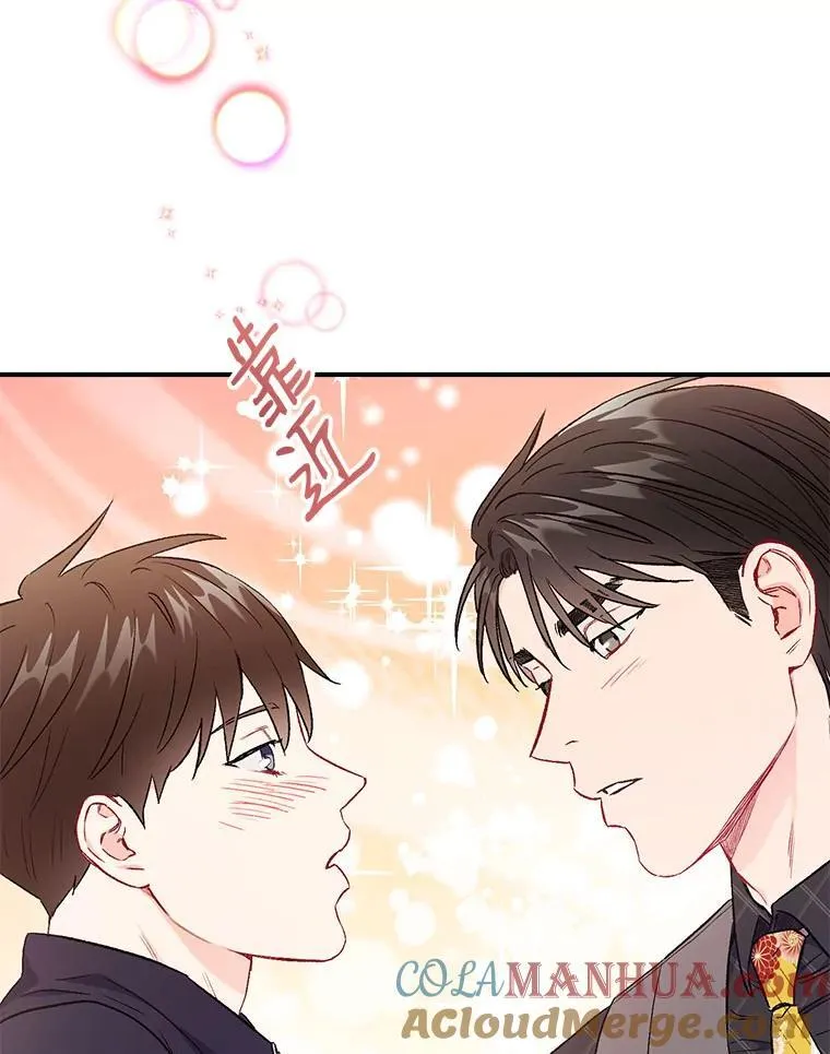 45.求职（2）（完结）75
