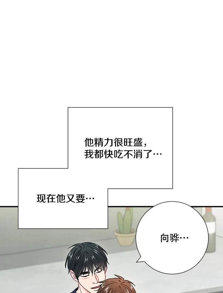 36.力量13