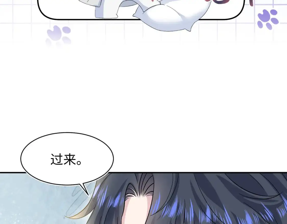 249 金丝雀想住金鸟笼67