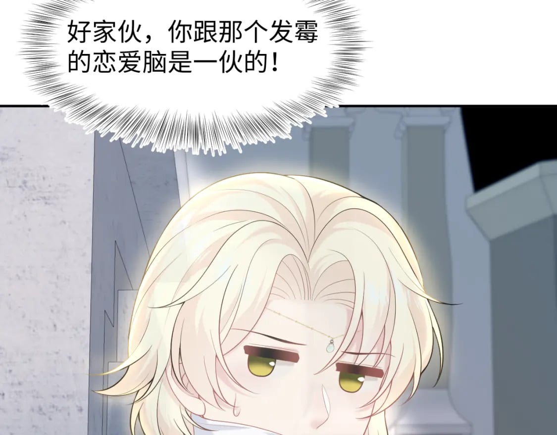 229新登场的究竟是？26