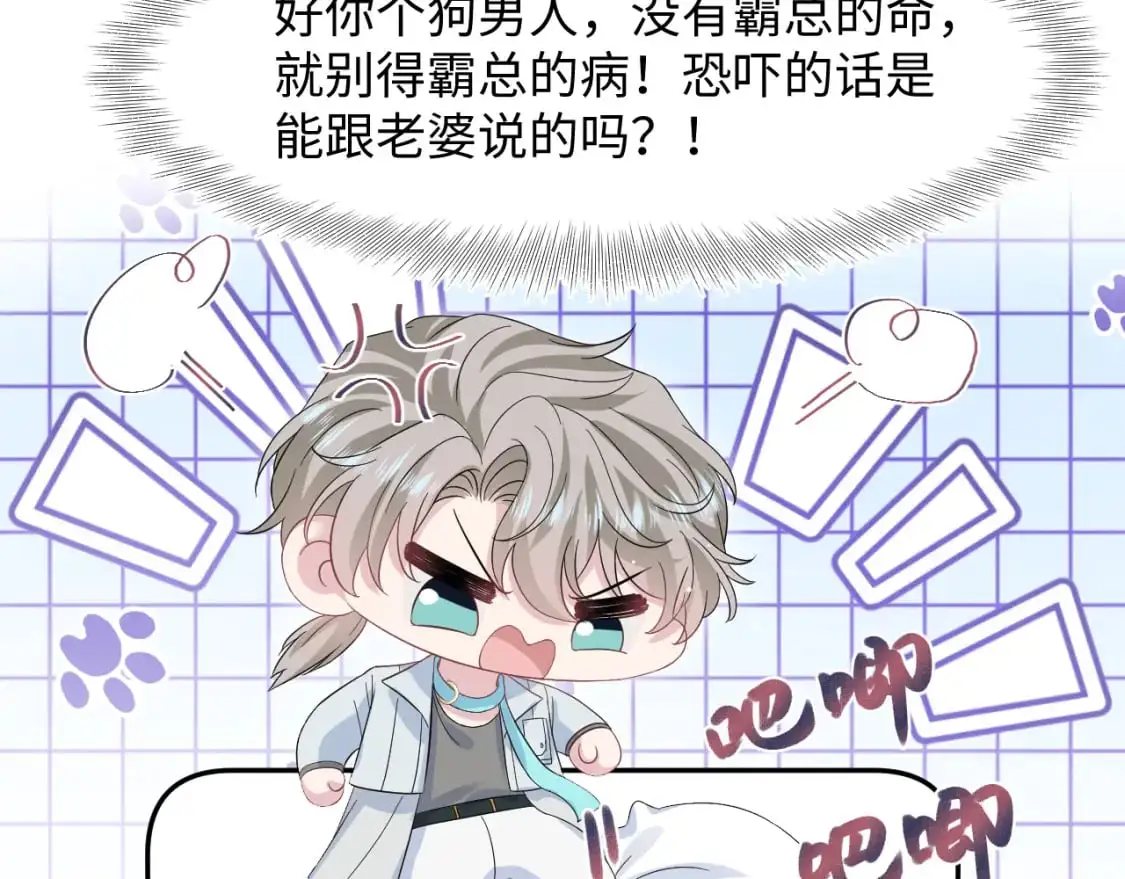 249 金丝雀想住金鸟笼66