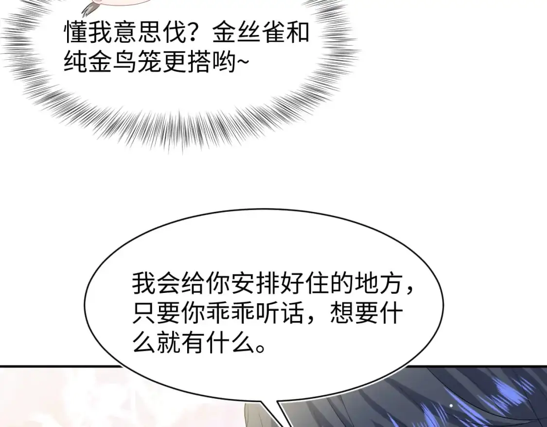 249 金丝雀想住金鸟笼80