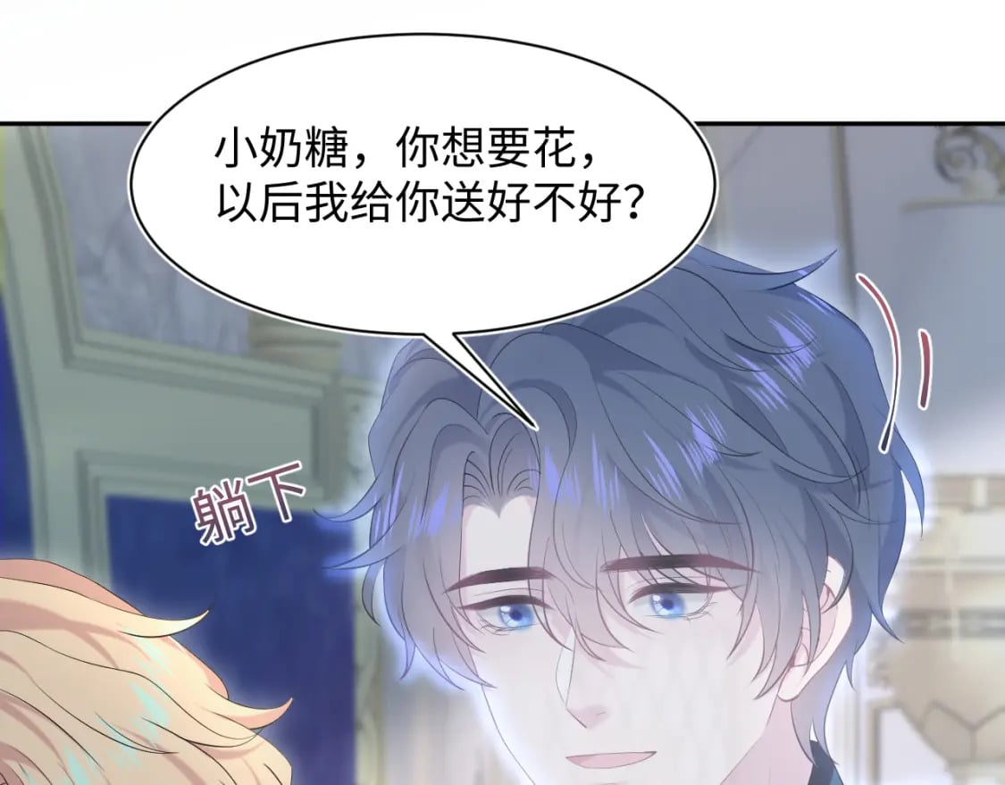 226精灵骑士的追求84