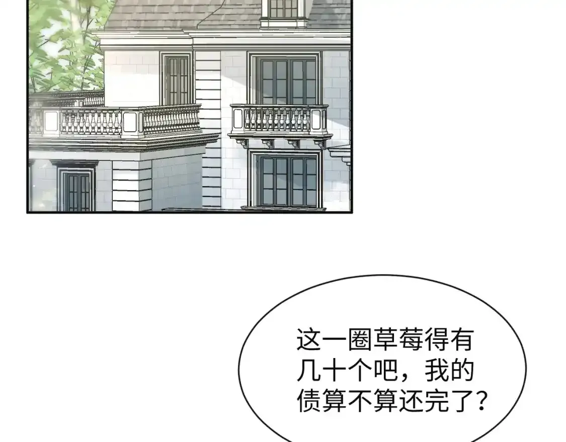 279 一个亿一颗的草莓74
