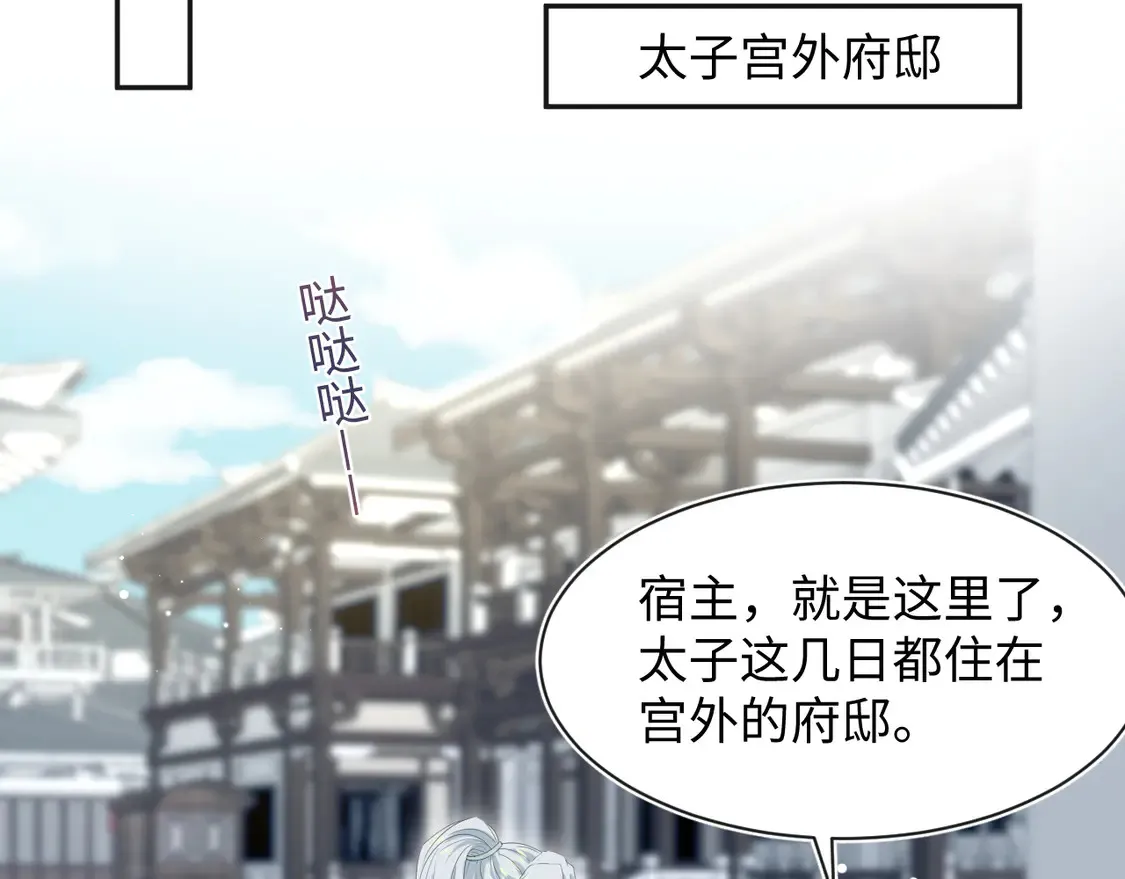 308 卖惨小能手63