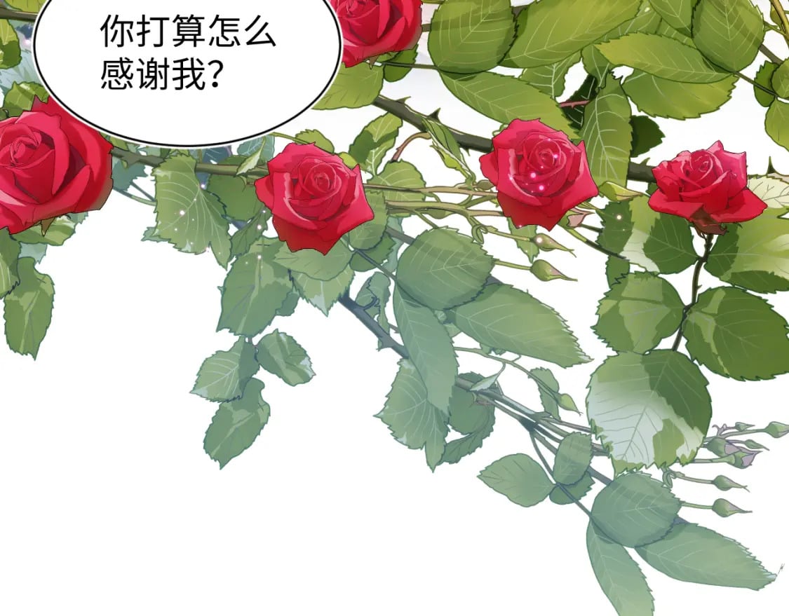 233花园里没人看见40
