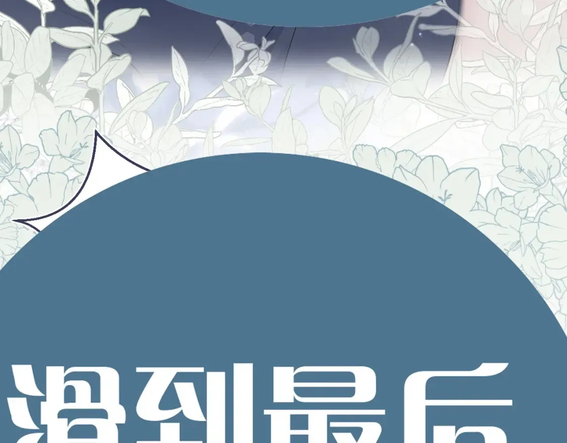 春节特典240