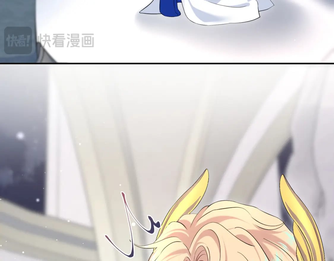 226精灵骑士的追求64