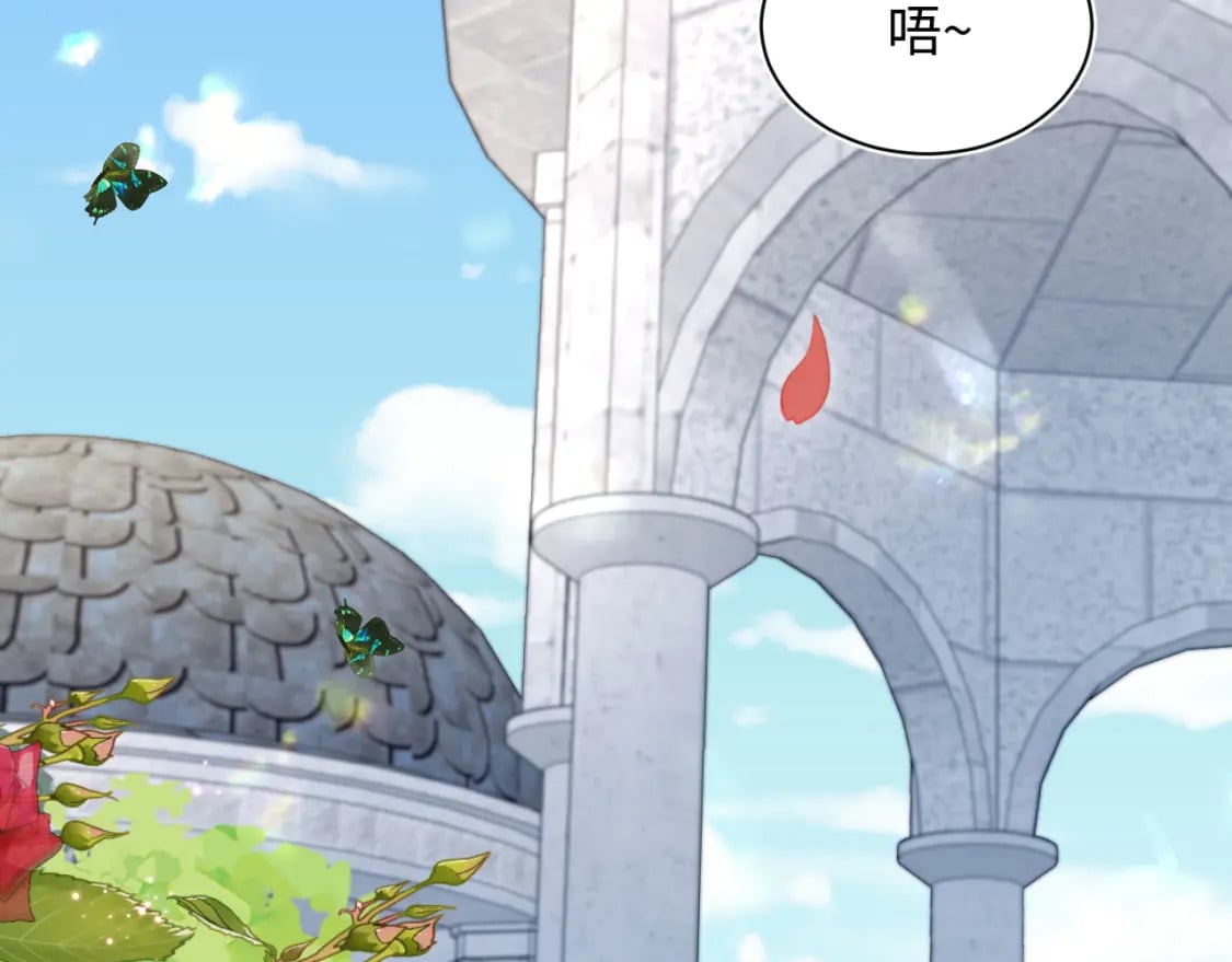 233花园里没人看见48