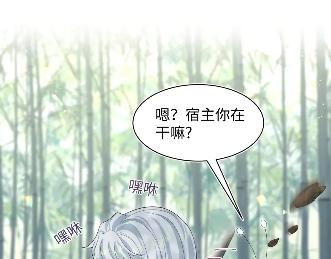 296 竹林深处33