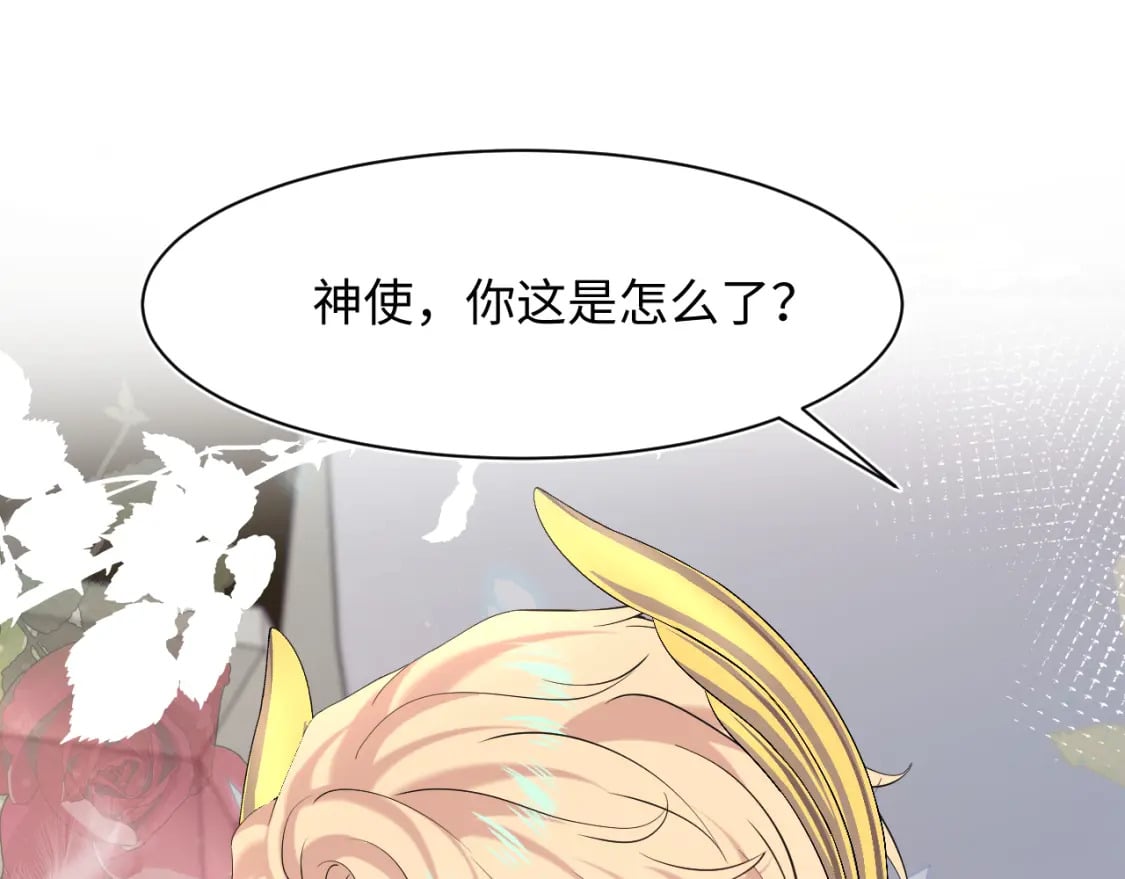 229新登场的究竟是？50