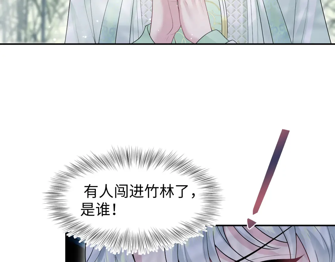 296 竹林深处43