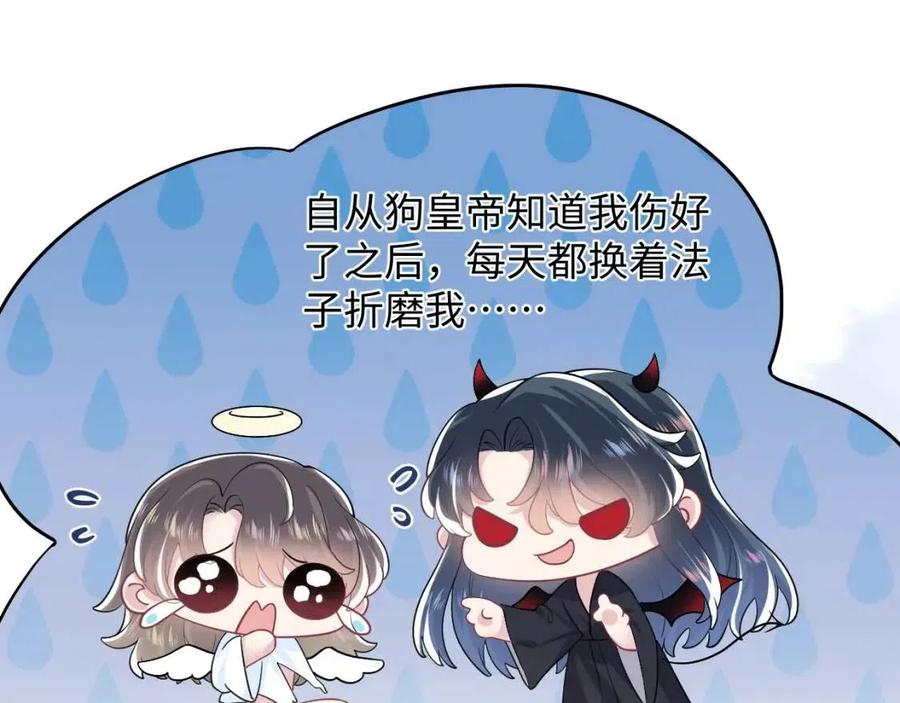 第41话 阳阳，朕要你贴身护朕20