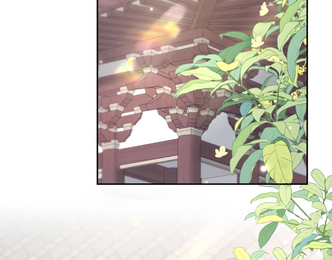 第174话 柔弱的美人仙尊？47