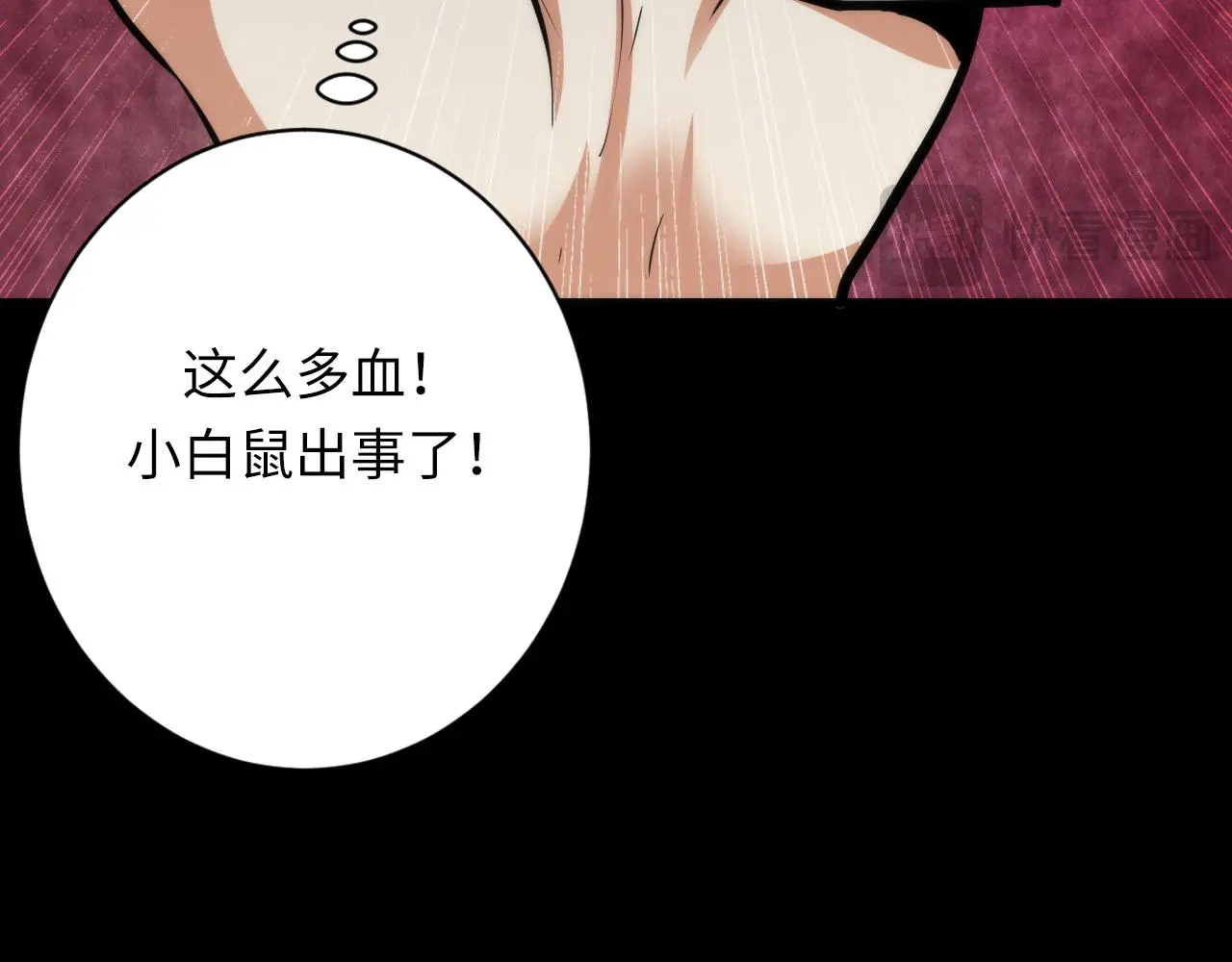 第248话 血染的白鼠113