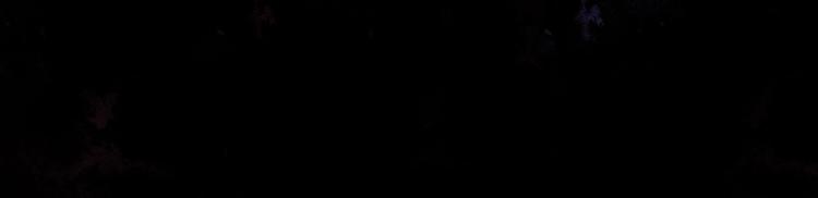 第10话 罗生门的证词101
