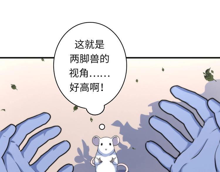 第35话 “鼠小弟”和跑团剧本20