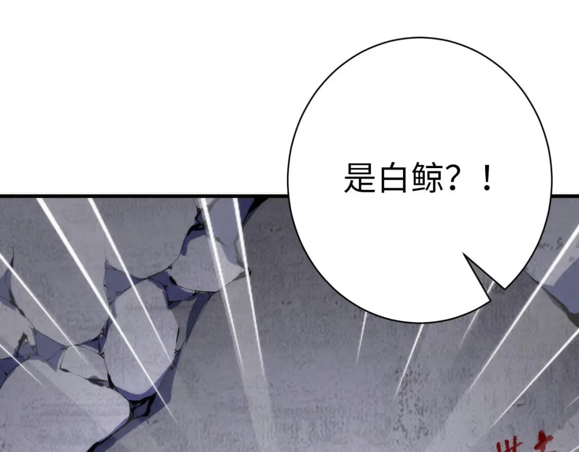 第217话 白鲸预告95