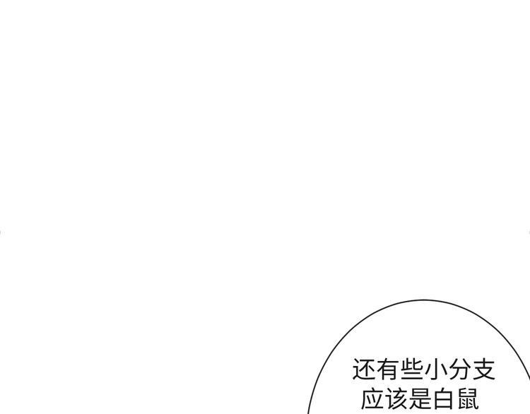 第40话 热门视频博主39