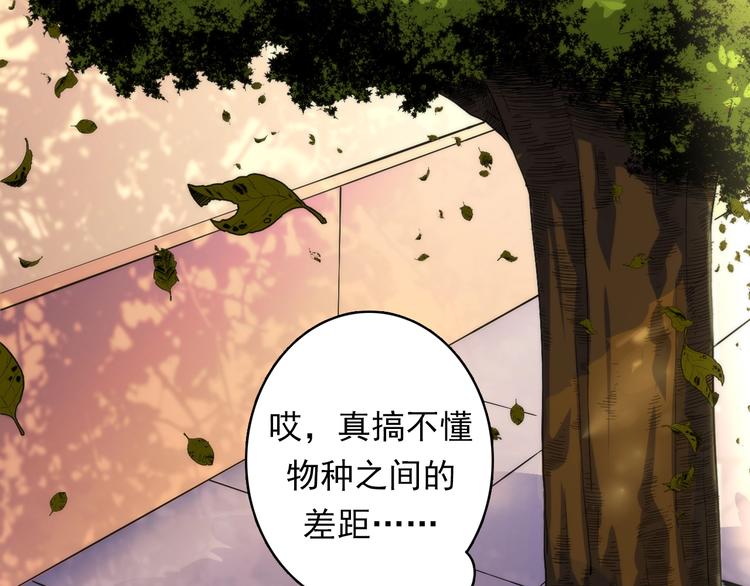 第24话 远古旧神5