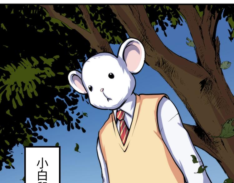第35话 “鼠小弟”和跑团剧本6
