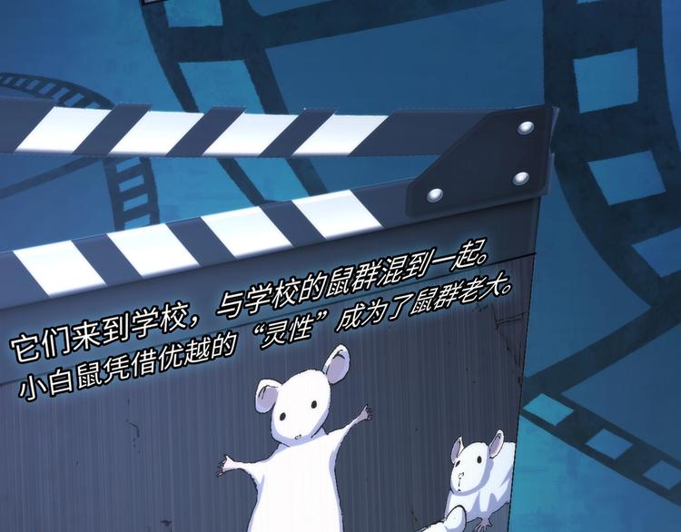 第35话 “鼠小弟”和跑团剧本14