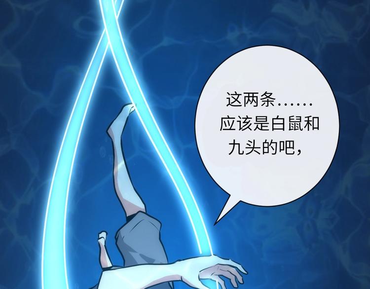 第40话 热门视频博主36