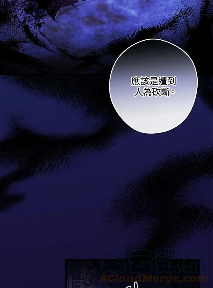 第63话104