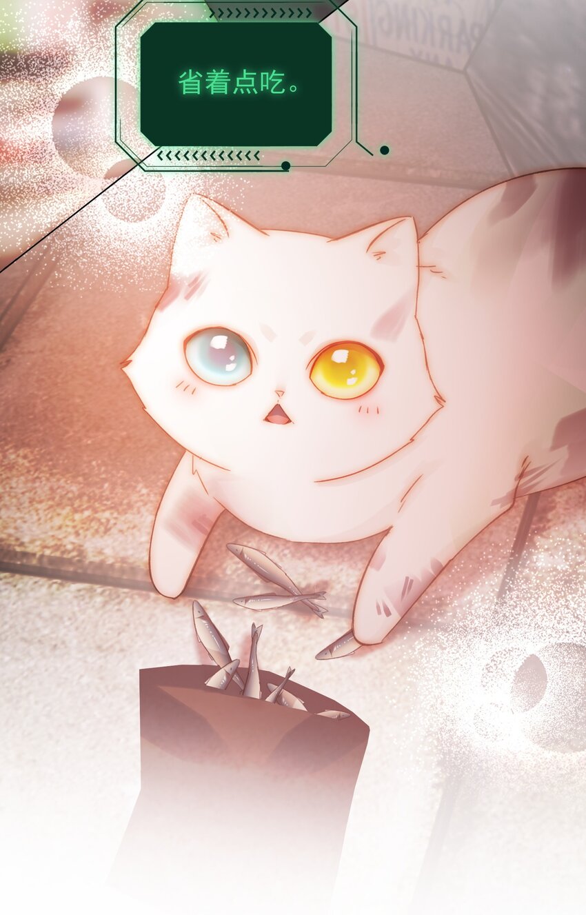 065 我是替身吗？7