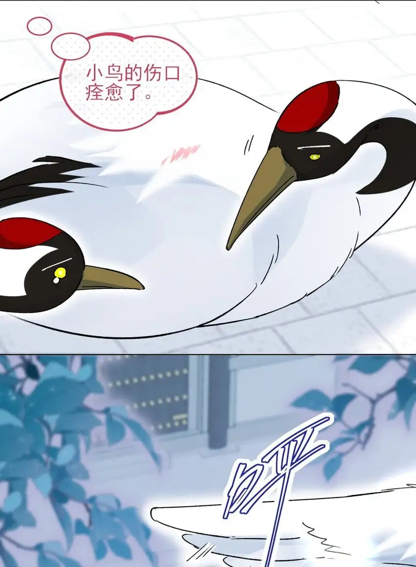 113 似曾相识25